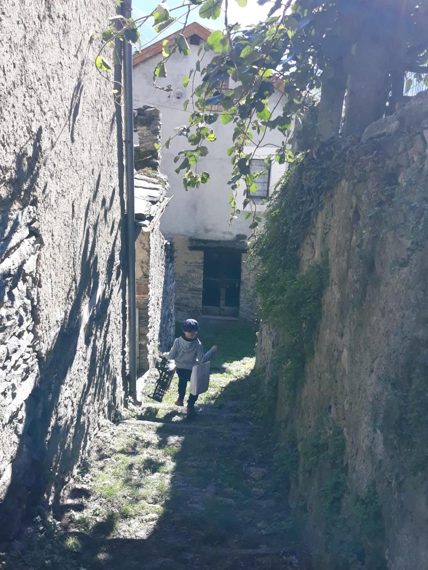 Al Pinone Villa Crevoladossola Bagian luar foto